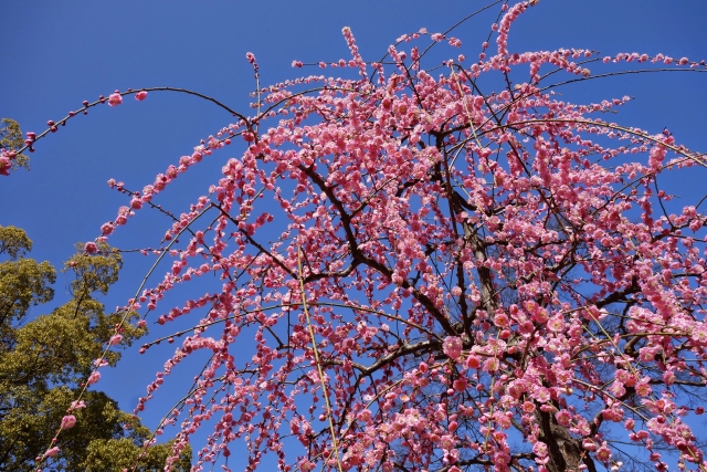 城南宮の概要